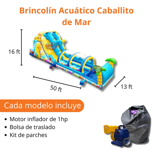 Brincolín Acuático Caballito de Mar