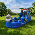 Water Slide Comercial 23 x 16 x 10 ft Delfín | Dolphin Water Slide con Alberca | Toros Jerez