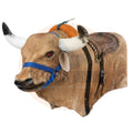 Toros Mecánicos en Venta | Mechanical Bull for Sale en USA | Toros Jerez | Toro mecánico piel y ojos led